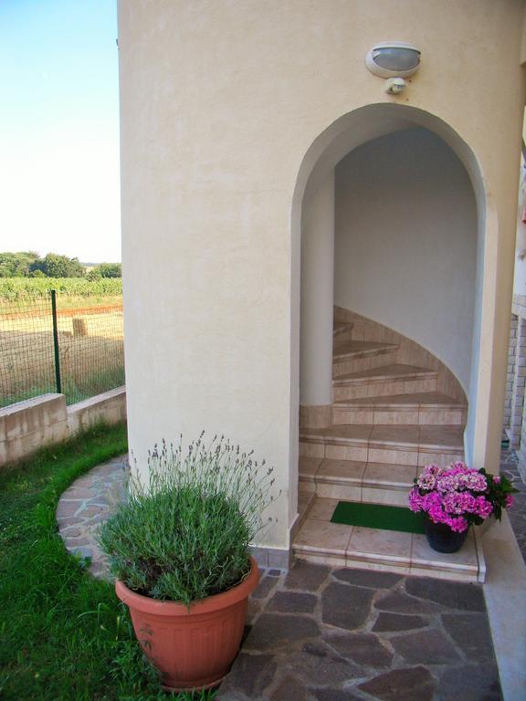 Apartments Sv. Pelegrin أوماغ المظهر الخارجي الصورة